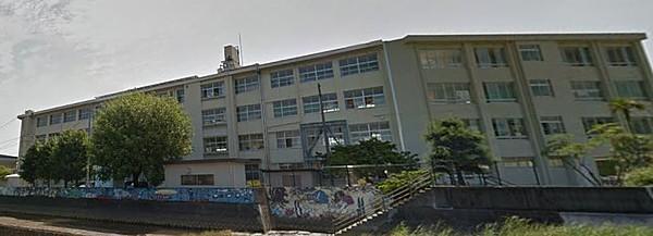 【周辺】福岡市立室見小学校（536m）