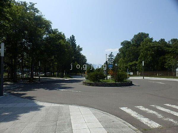 【周辺】北海道大学北18条門 959m