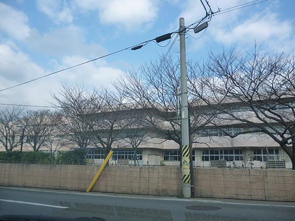 【周辺】附属新潟小学校（214m）