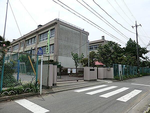 【周辺】小学校 250m 下布田小学校