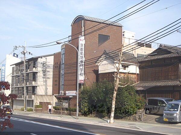 【周辺】京都動物専門学校まで1300メートル