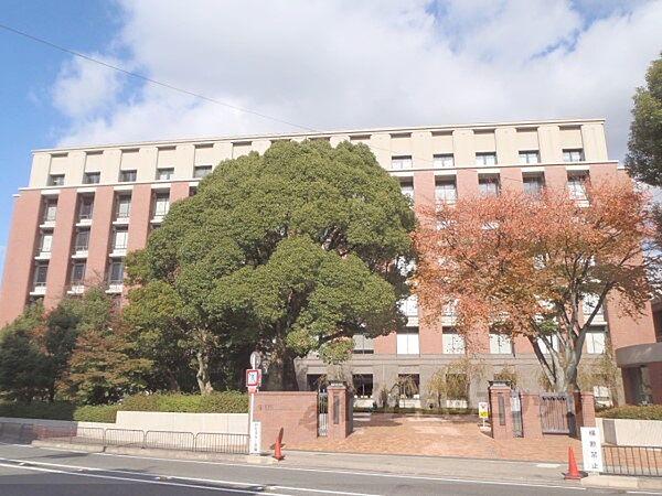 【周辺】京都薬科大学まで300メートル
