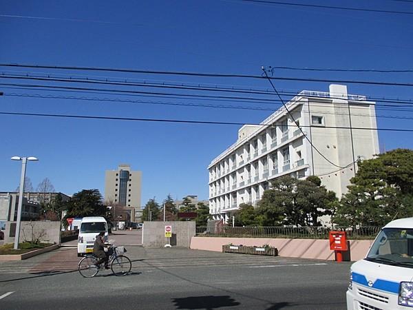 【周辺】大学静岡大学　浜松キャンパスまで419ｍ