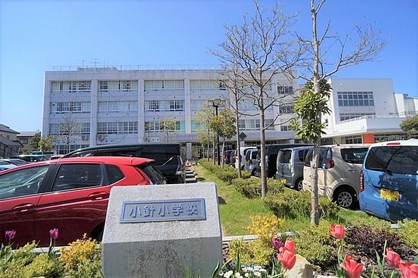 【周辺】新潟市立小針小学校 672m