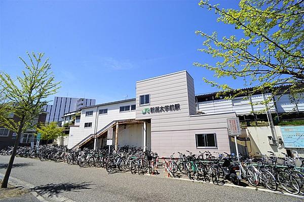 【周辺】新潟大学前駅(JR 越後線) 1007m