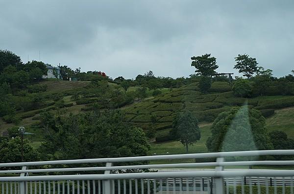 【周辺】愛野公園（2094m）