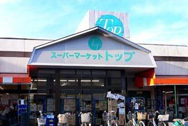 【周辺】トップパルケ鹿島店 556m