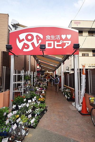 【周辺】ロピア希望が丘店 462m