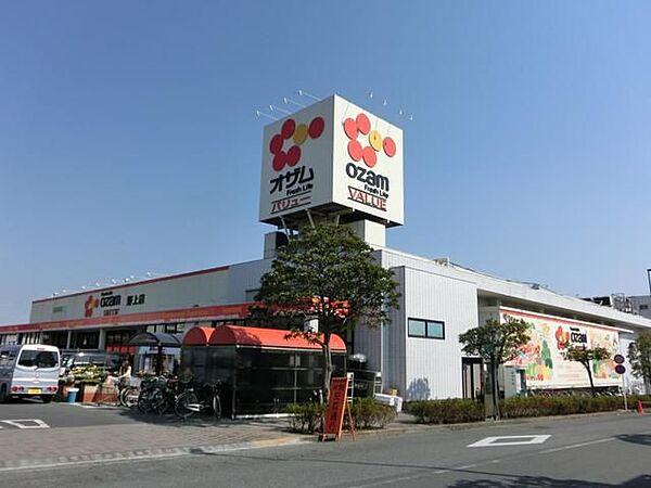 【周辺】オザムバリュー野上店 徒歩10分。スーパー 780m