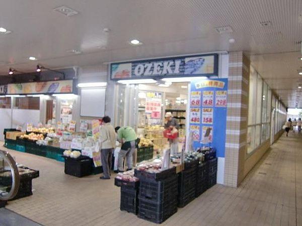 【周辺】スーパーオオゼキ市川店 346m