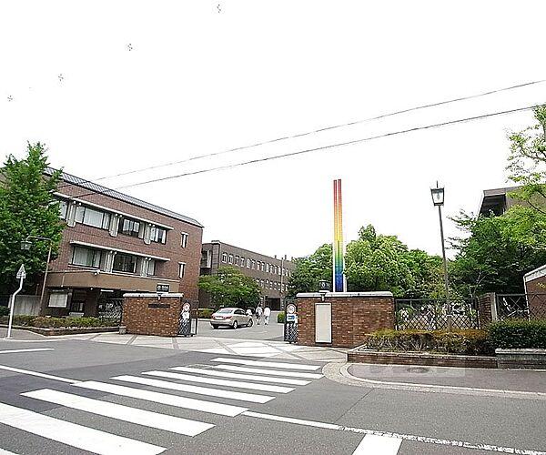 【周辺】京都工芸繊維大学まで750m