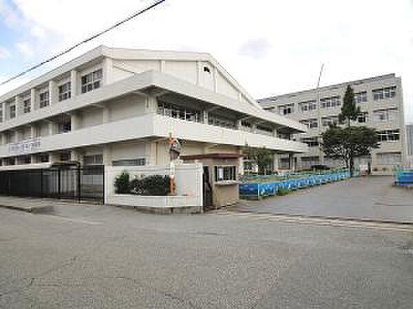 【周辺】小学校「尼崎市立大島小学校まで322m」