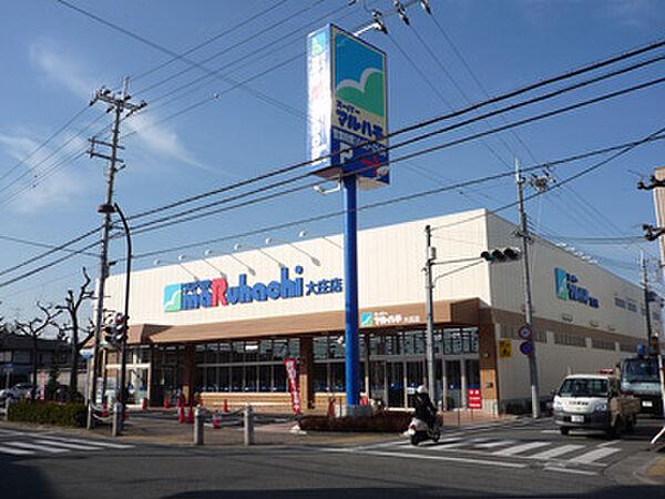 【周辺】スーパー「スーパーマルハチ大庄店まで246m」