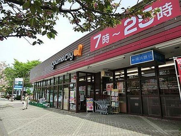 【周辺】グルメシティ鶴川緑山店