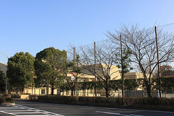 【周辺】横浜市立茅ケ崎小学校 334m