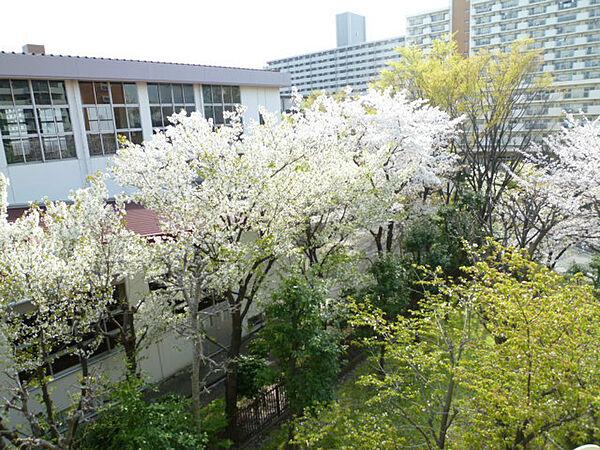 【外観】バルコニーからの眺望です。桜の時期は窓から桜がたくさん見えて迫力があります。