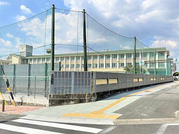 【周辺】小学校「名古屋市立白鳥小学校まで736m」
