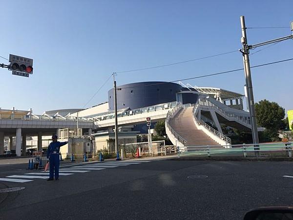 【周辺】名古屋港水族館