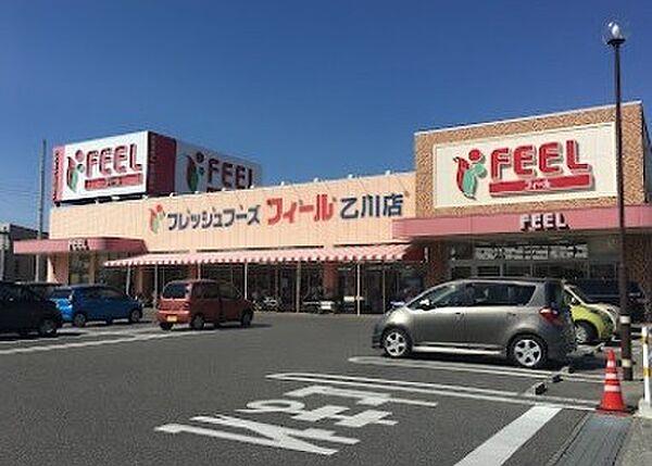 【周辺】スーパー「フィール乙川店まで857m」