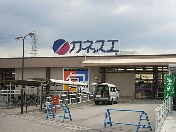 【周辺】スーパー「カネスエ五郎丸店まで3319m」