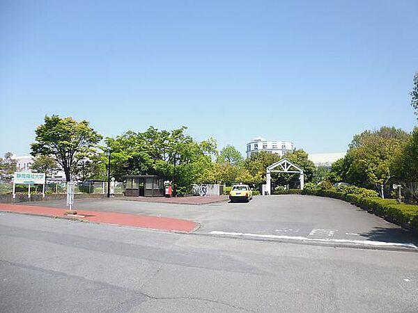 【周辺】大学「静岡福祉大学まで3800m」