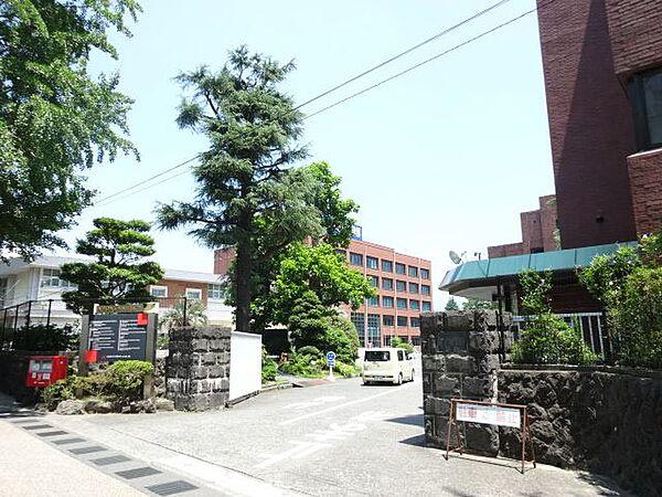 【周辺】大学「日本大学国際関係学部まで1500m」