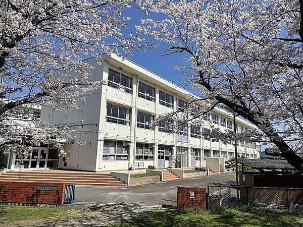 【周辺】小学校「関市立桜ケ丘小学校まで934m」