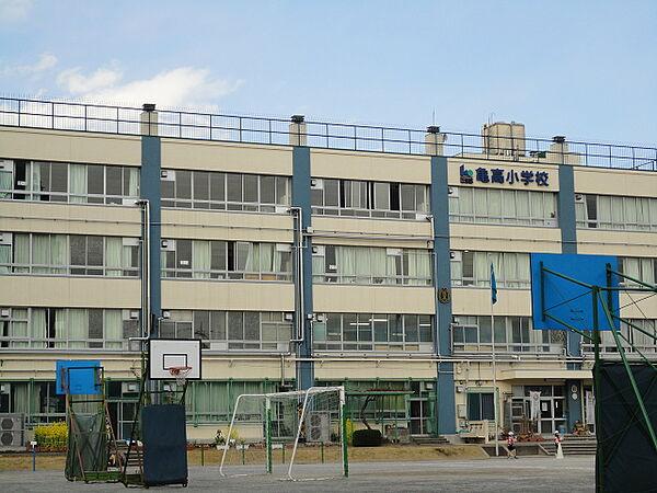 【周辺】江東区立亀高小学校（806m）