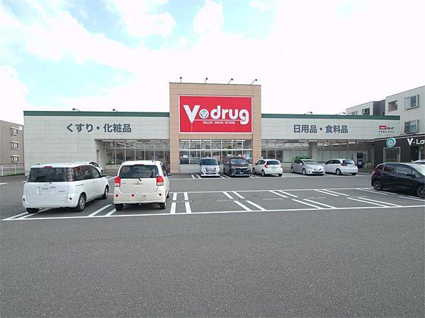 【周辺】V・drug 高木店（293m）