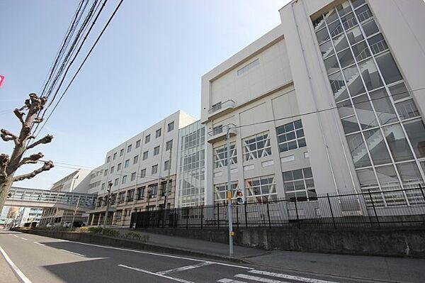 【周辺】中学校「私立徳島文理中学校まで514m」