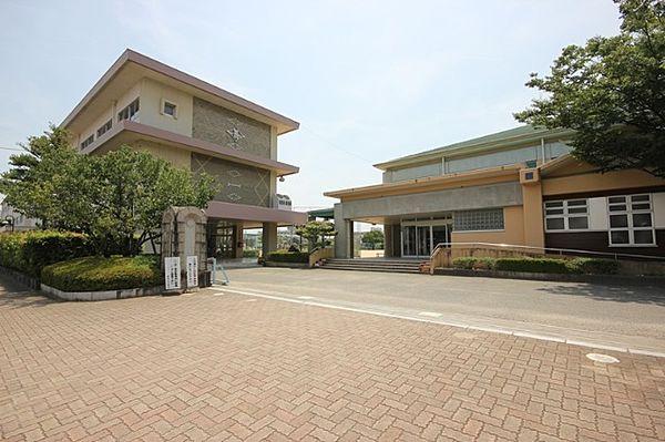 【周辺】小学校「徳島市立富田小学校まで591m」