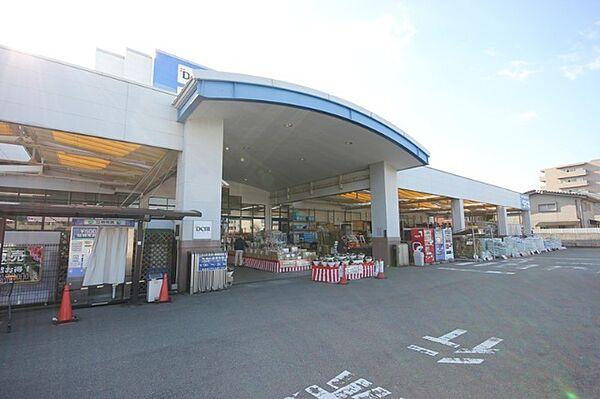 【周辺】ホームセンター「DCMダイキ万代店まで536m」