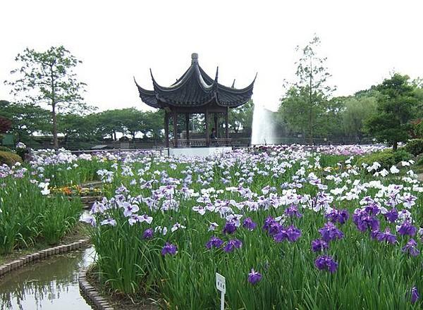 【周辺】公園「赤坂上池公園」6月には花菖蒲が咲く公園です