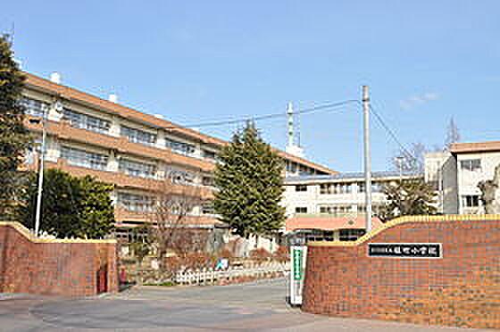 【周辺】さいたま市立植竹小学校（959m）