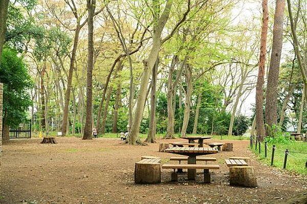 【周辺】【公園】三井の森公園まで920ｍ