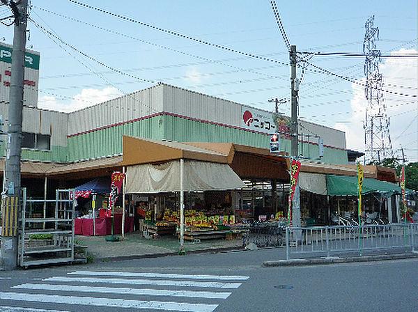 【周辺】生鮮食品スーパー ニッコー 東山店（434m）
