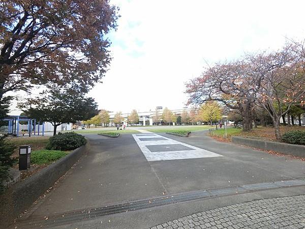 【周辺】徒歩4分の場所に大きな蒔田公園があります。 休日にはご家族で運動したりピクニックをしたりできますね。