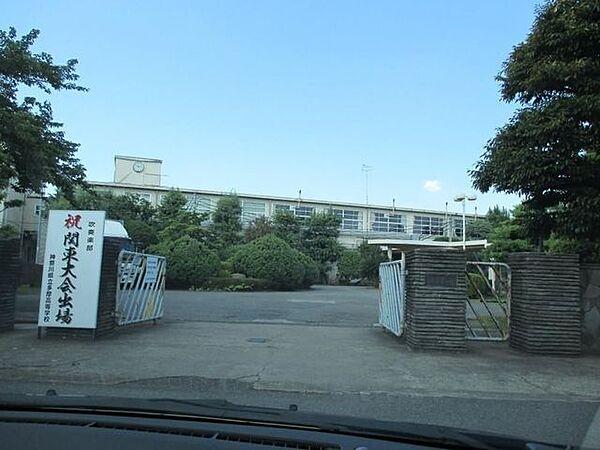 【周辺】神奈川県立多摩高等学校 219m
