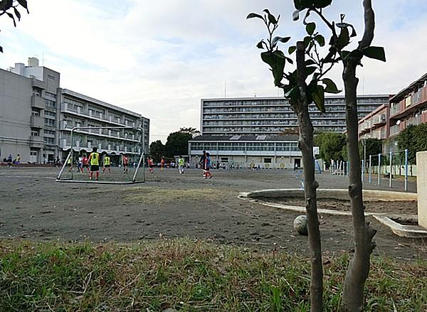 【周辺】横浜市立大豆戸小学校（237m）
