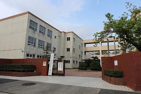 【周辺】山王中学校