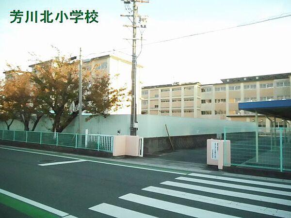 【周辺】浜松市立芳川北小学校（329m）