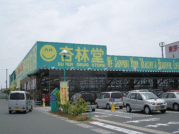 【周辺】杏林堂浜松志都呂店（257m）