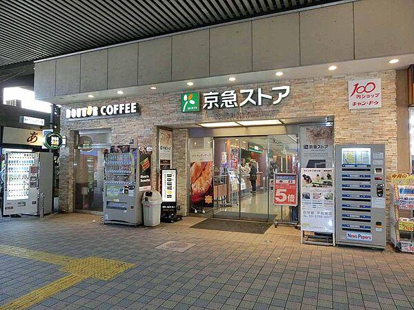 【周辺】京急ストア 平和島店（249m）