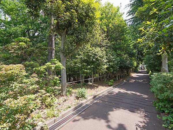 【周辺】椿峰中央公園徒歩2分（160m）