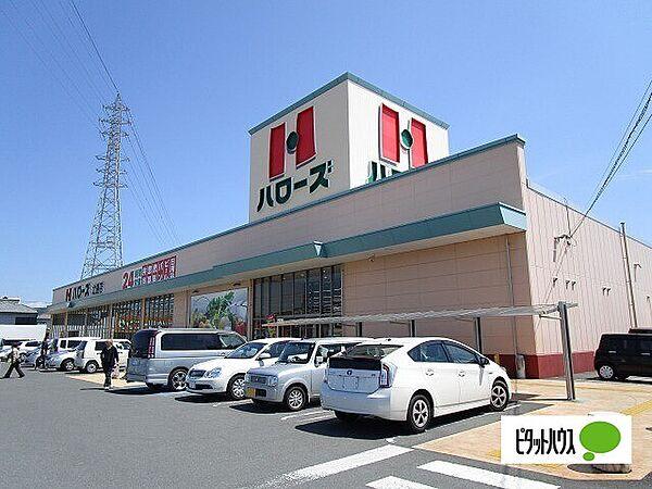 【周辺】スーパー「ハローズ北島店まで703m」