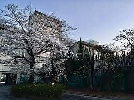 【周辺】松戸市立第一中学校みらい分校 徒歩17分。 1290m