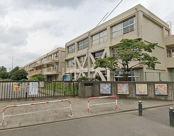 【周辺】松戸市立常盤平第二小学校 徒歩4分。 290m