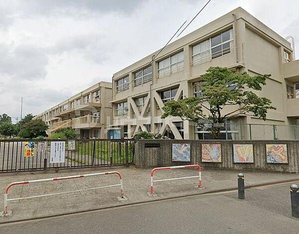 【周辺】松戸市立常盤平第二小学校 徒歩10分。 780m