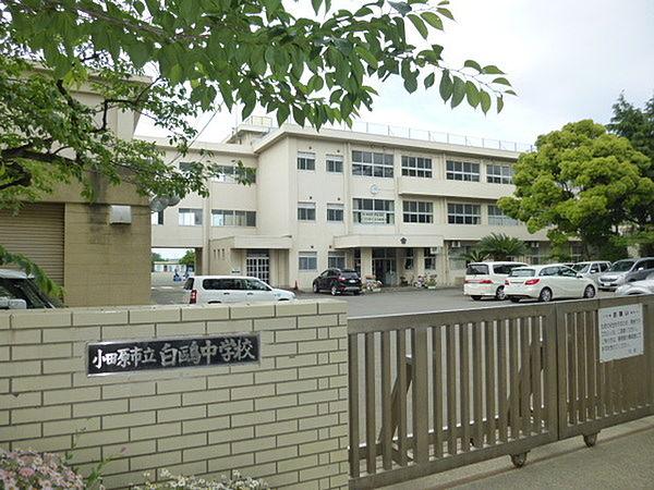 【周辺】中学校「小田原市立白鴎中学校まで991m」