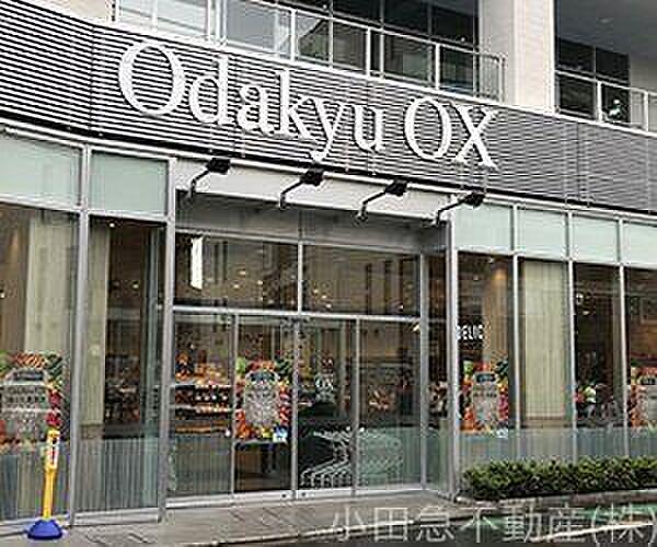 【周辺】OdakyuOX向ヶ丘遊園店 徒歩13分。 970m